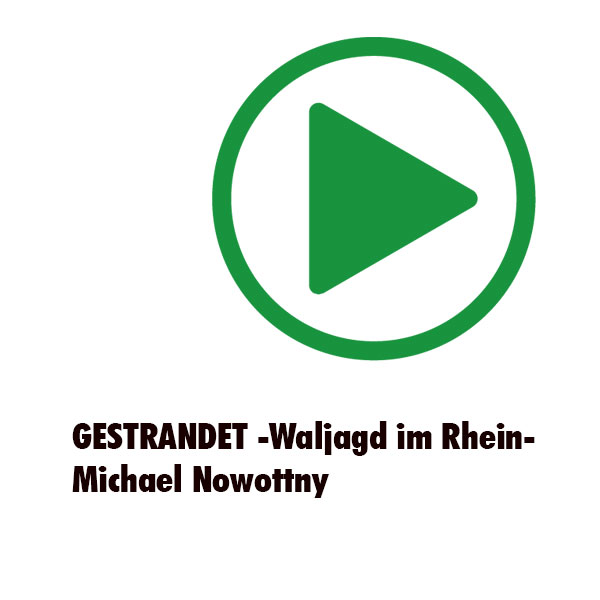 2015 SLFK Vol II Gestrandet Michael Nowottny 01